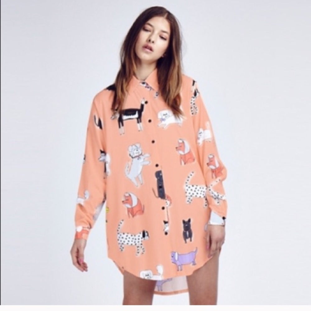 dog walk button up